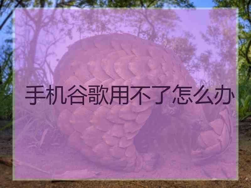 手机谷歌用不了怎么办