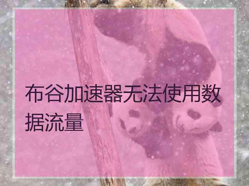 布谷加速器无法使用数据流量
