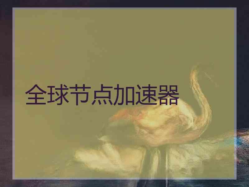 全球节点加速器