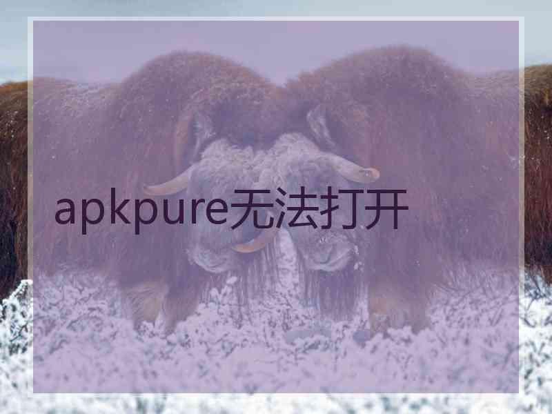 apkpure无法打开