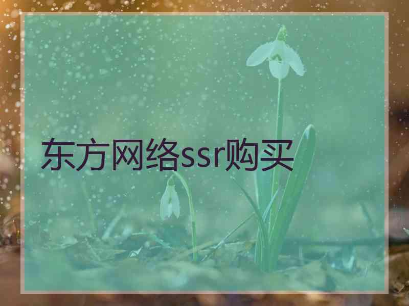 东方网络ssr购买